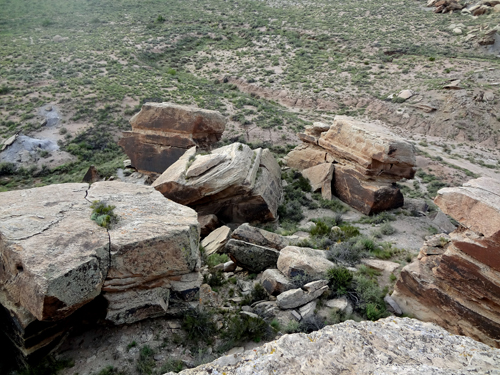 Petroglyphs at Newspaper Rock